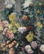 Gustave Caillebotte Chrysanthemums,Garden at Petit Gennevilliers oil painting